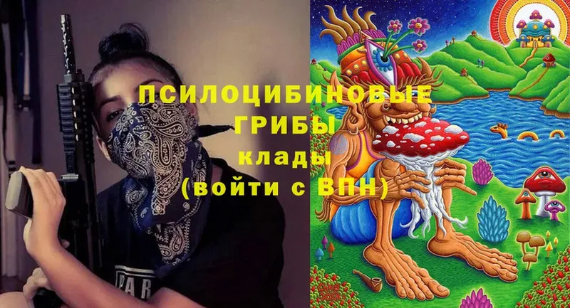 Псилоцибиновые грибы мицелий  Когалым 